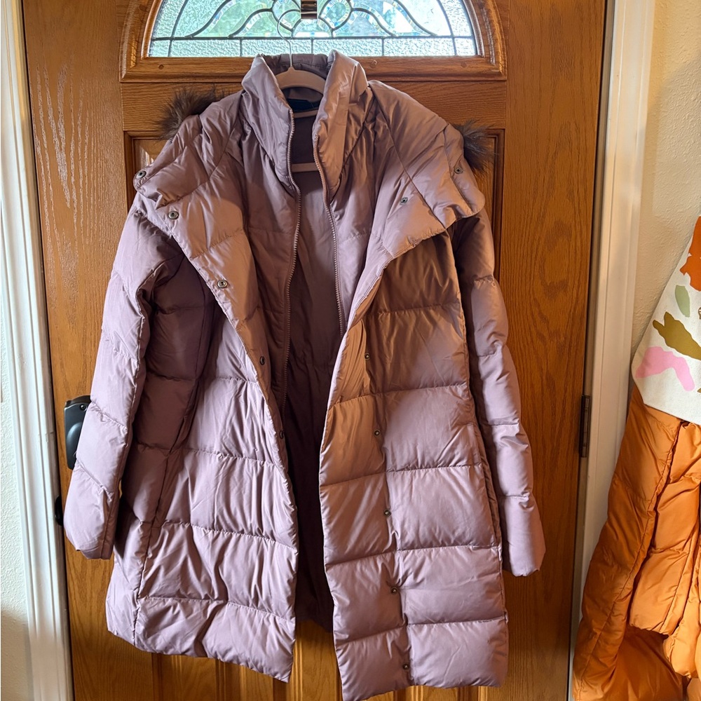 The North Face New Dealio Water Repellant 550 Fill Power Down Parka